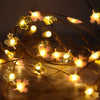 Fairy String Lights