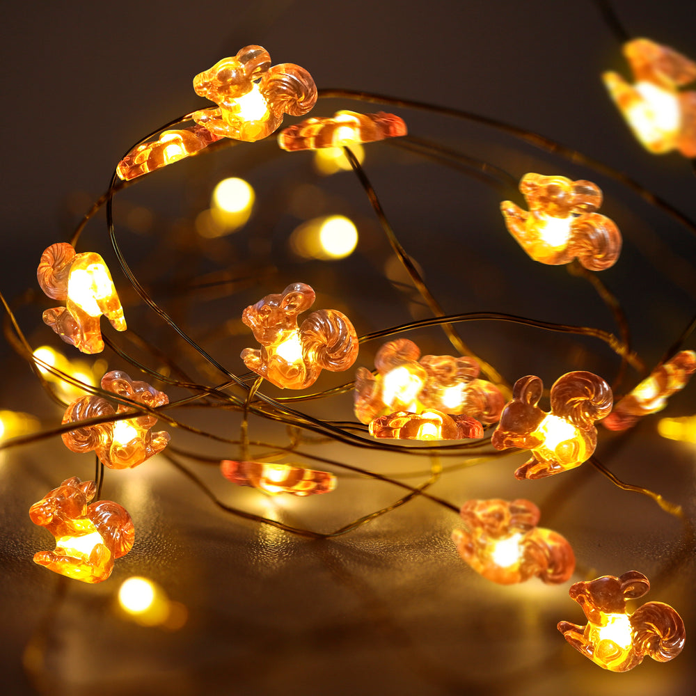 
                      
                        Fairy String Lights
                      
                    