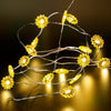 Fairy String Lights