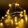 Fairy String Lights