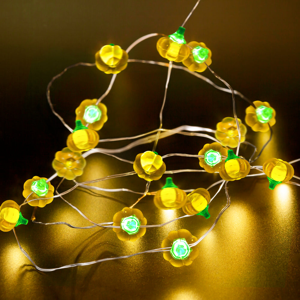 
                      
                        Fairy String Lights
                      
                    