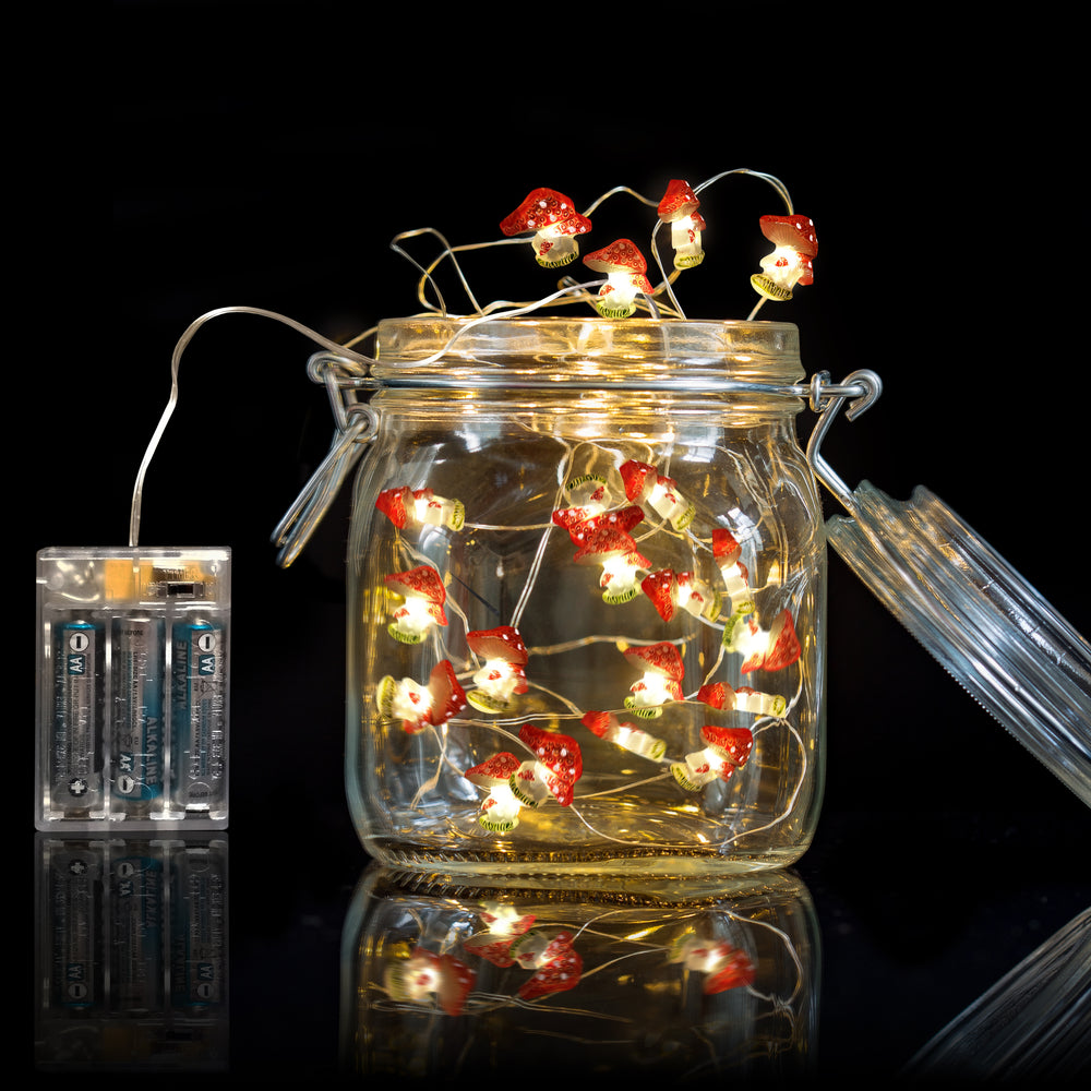 
                      
                        Fairy String Lights
                      
                    