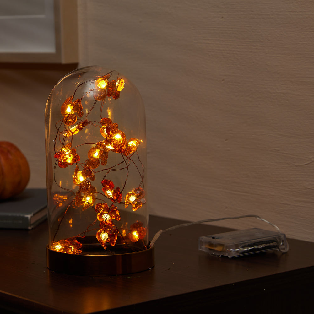 
                      
                        Fairy String Lights
                      
                    
